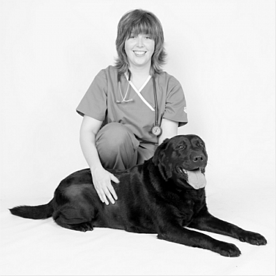 Silvia Borghi veterinaria dog cane